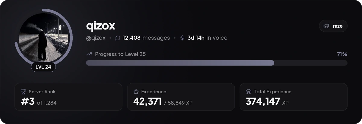 raze rank card for qizox: level 24, 71% to level 25, server rank #3 of 1,284, 12,408 messages, 3 days 14 hours in voice, 374,147 total XP
